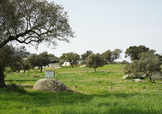 El Ayuntamiento pone en venta casi el 90% de 'La Serrezuela'