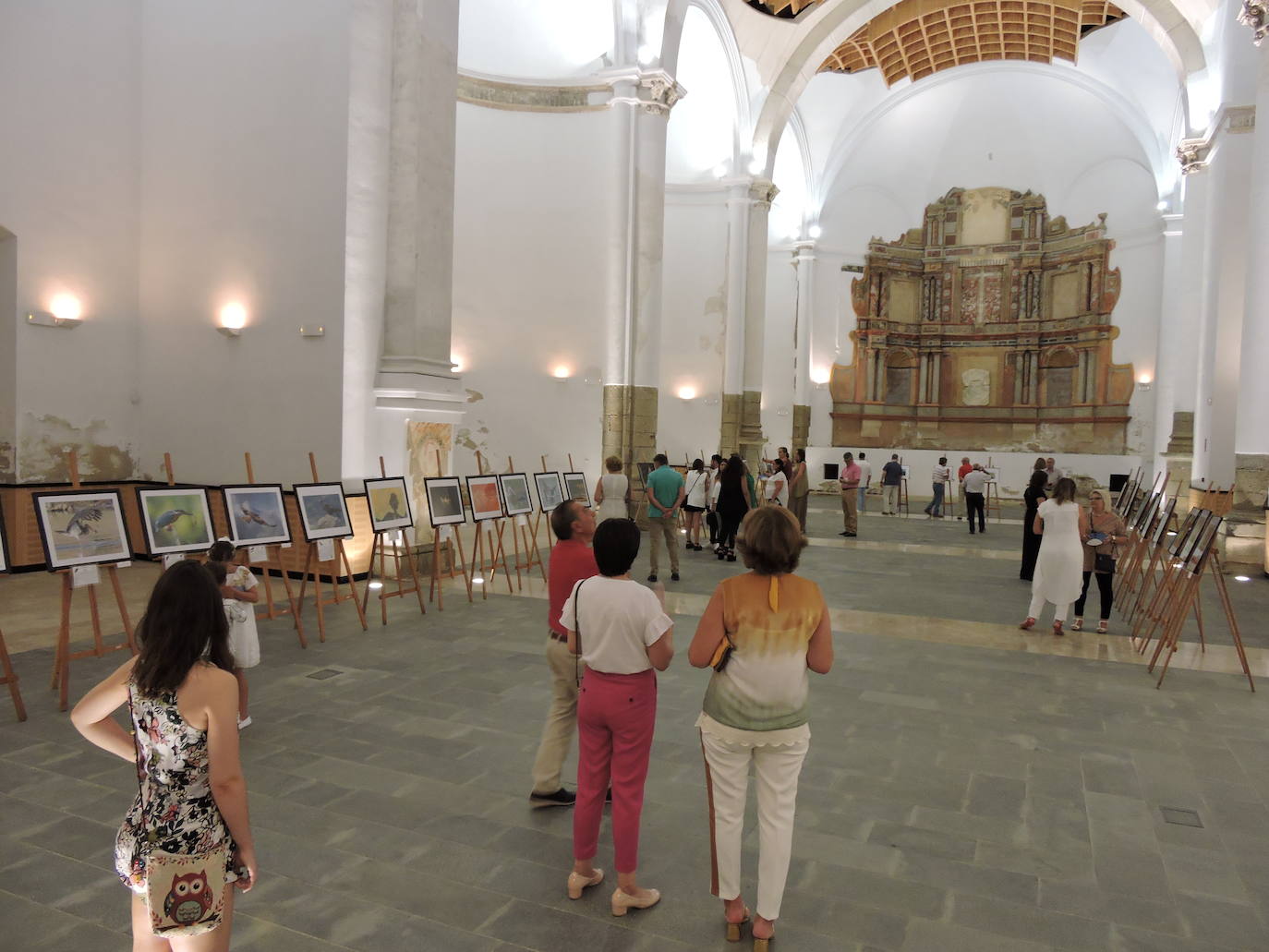 100 fotos sobre todas las actividades de la noche en blanco frexnense.