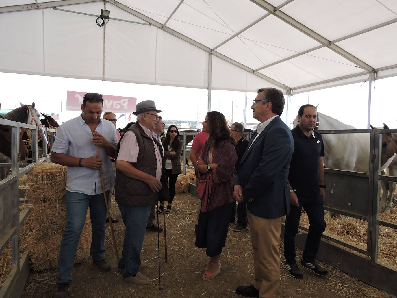 Fotos: FOTOS DE LAS FERIAS Y FIESTAS DE SAN MATEO 2019 - Parte 1
