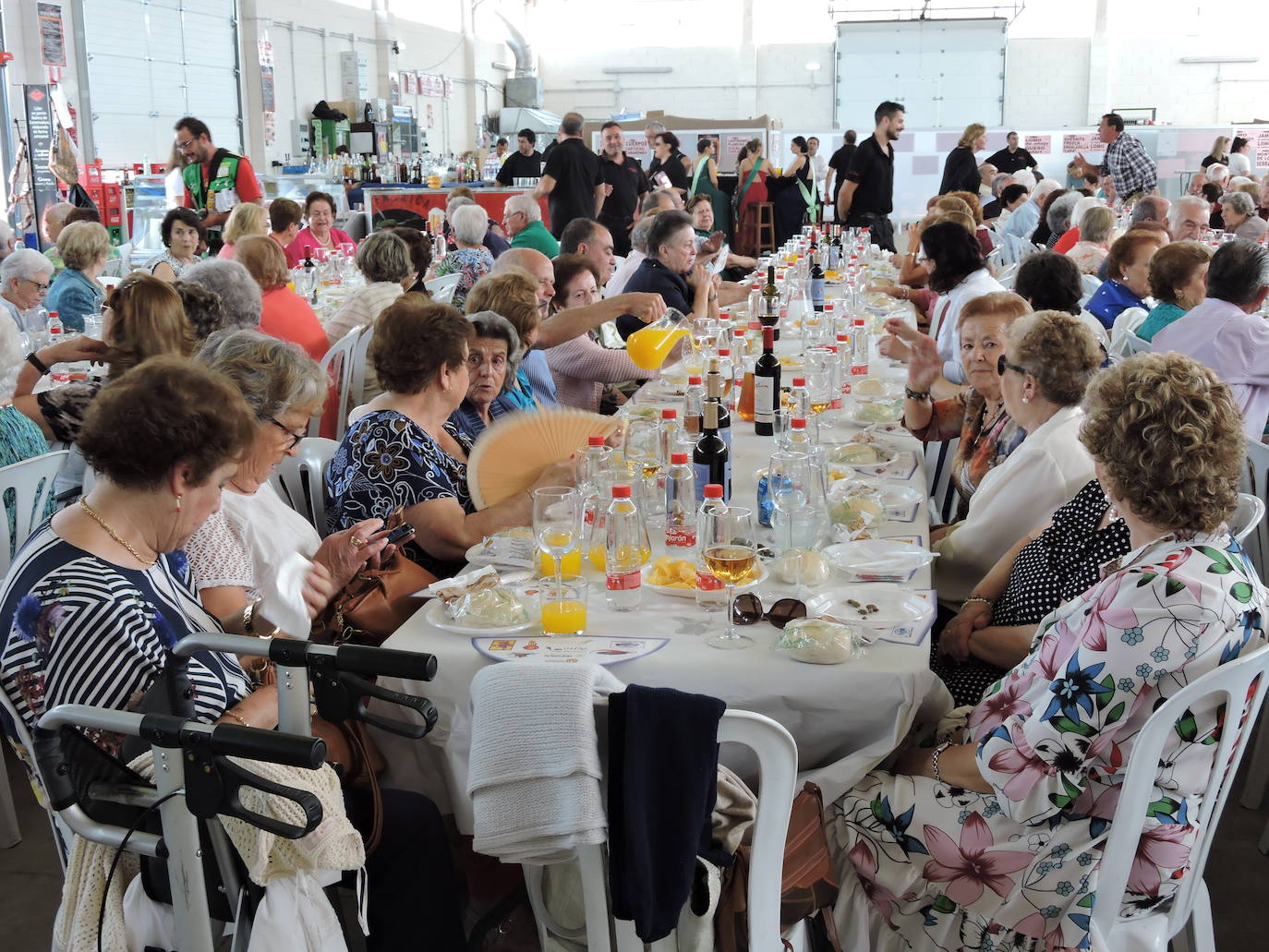 Fotos: FOTOS DE LAS FERIAS Y FIESTAS DE SAN MATEO 2019 - Parte 2