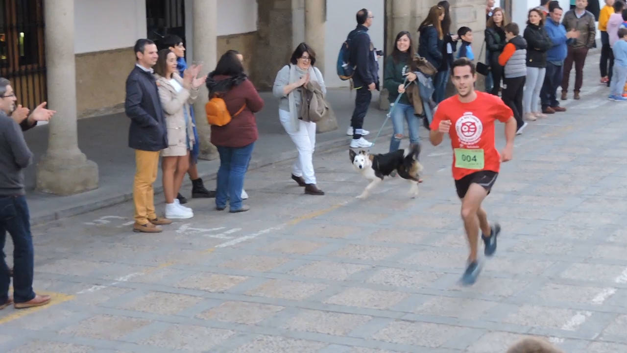 Fotos: V San Silvestre Frexnense - 2019