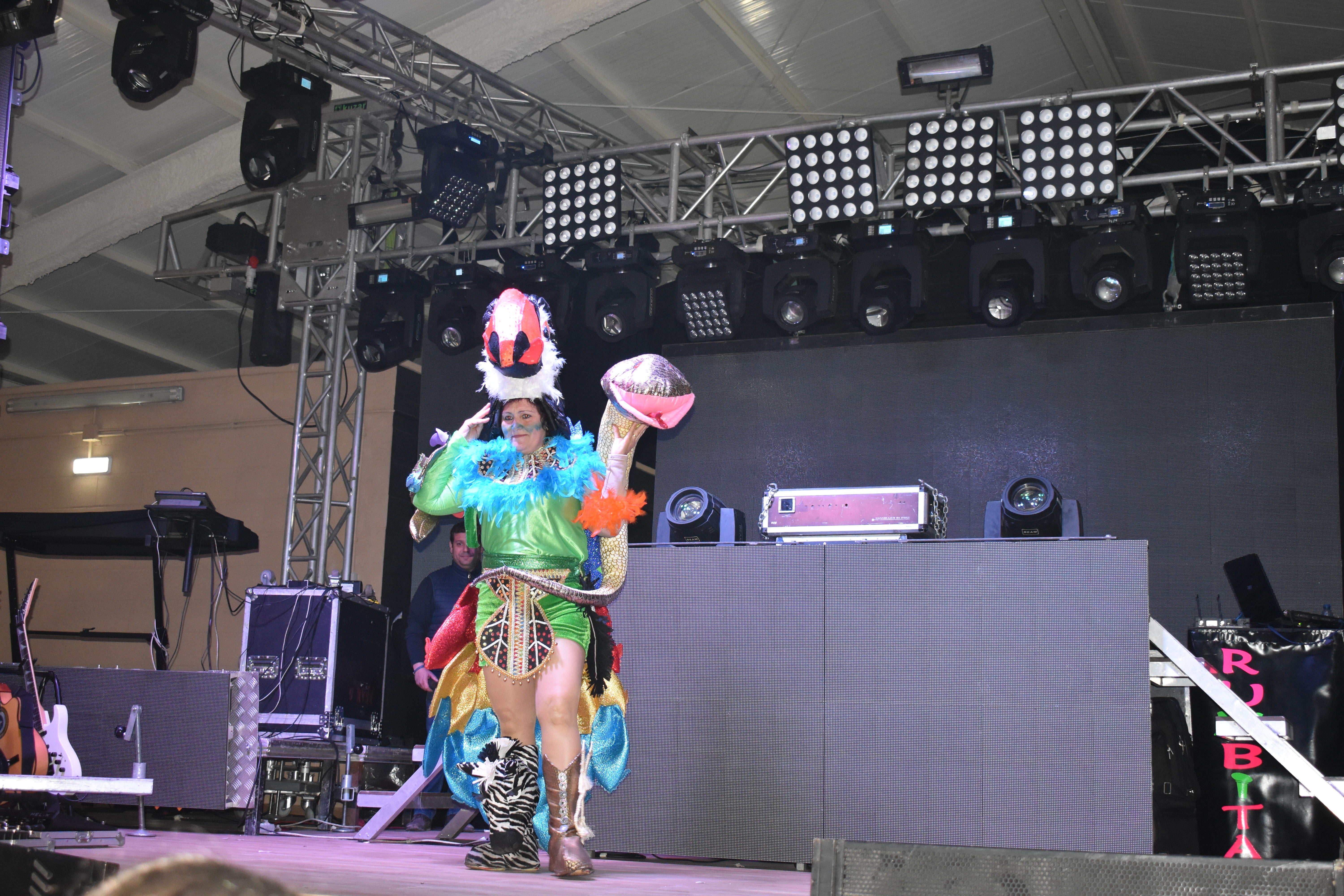Fotos: Carnavales 2020 Parte 1