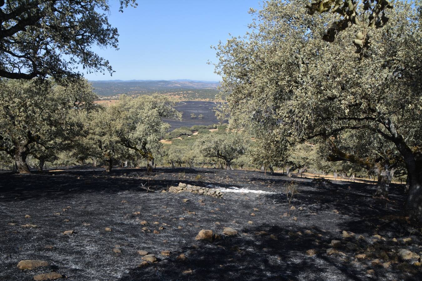 El fuego marca su huella en Nertóbriga 