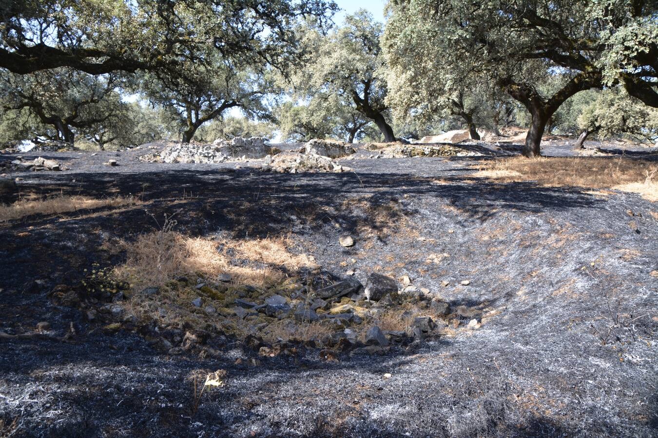 El fuego marca su huella en Nertóbriga 