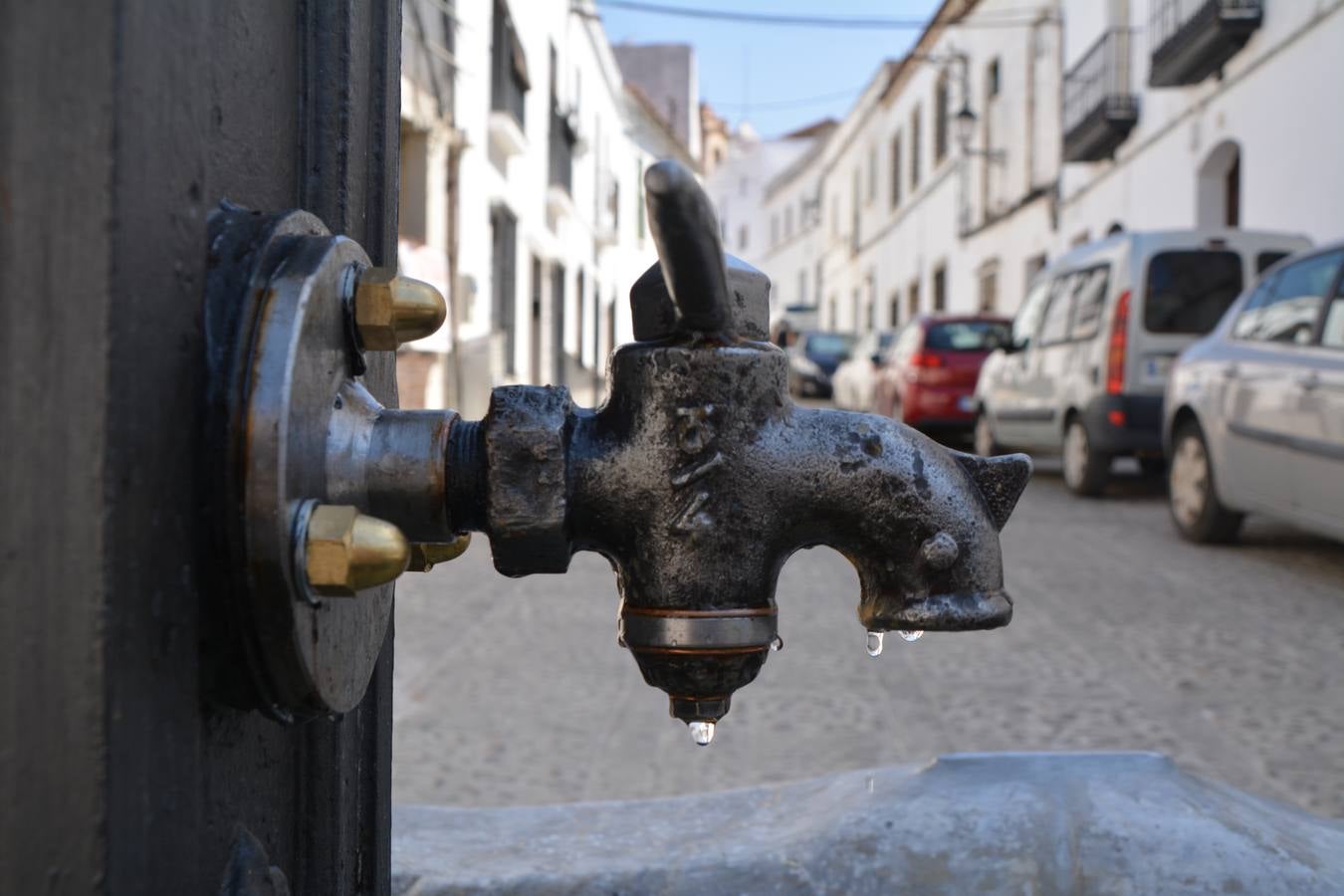 Fuente de los Grifos 