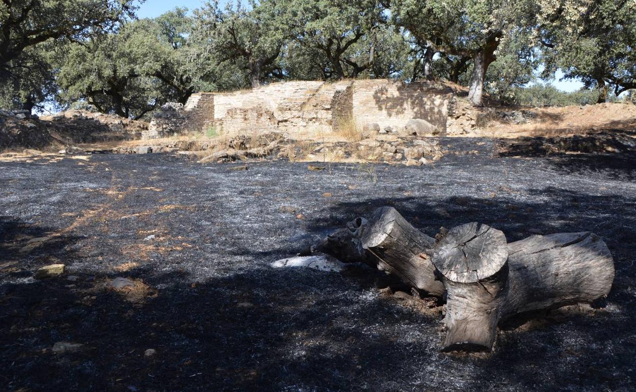 Aspecrto de la acrópolis de Nertóbriga tras el paso del incendio 