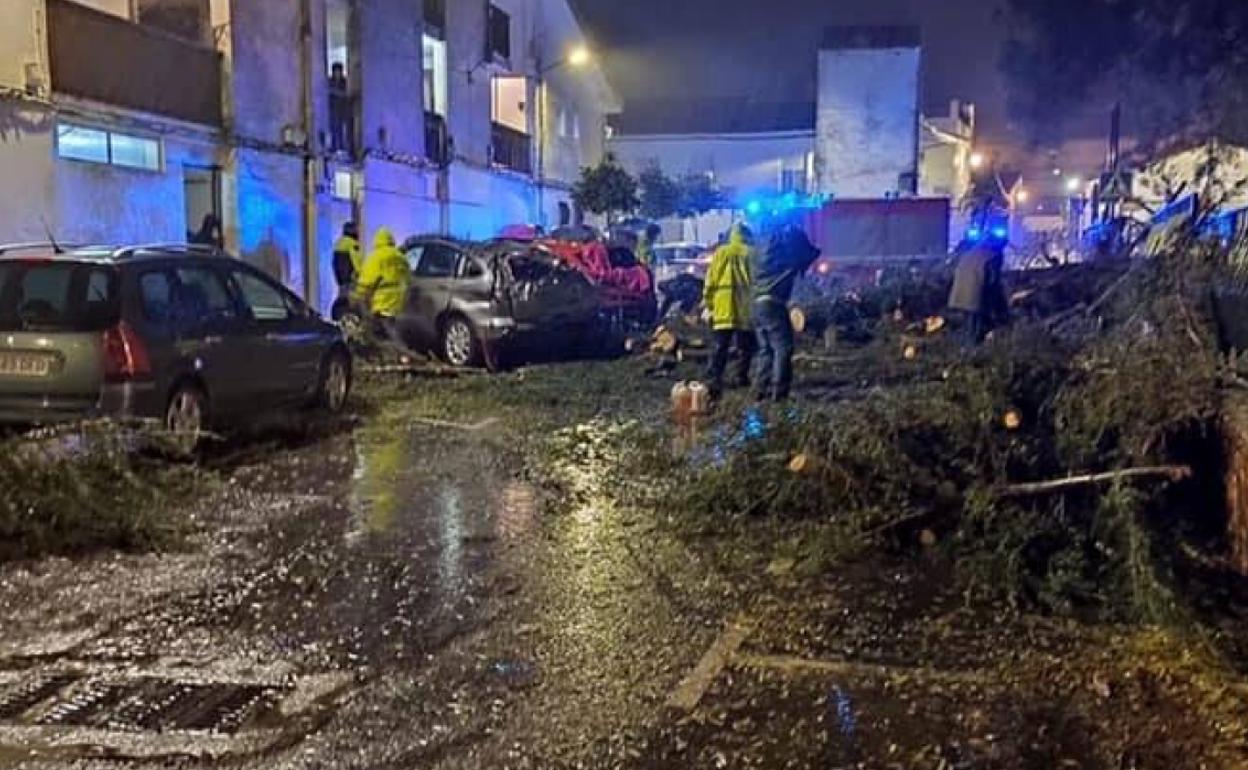 Una persona resulta herida tras la caída de un árbol en la barriada Santa Ana