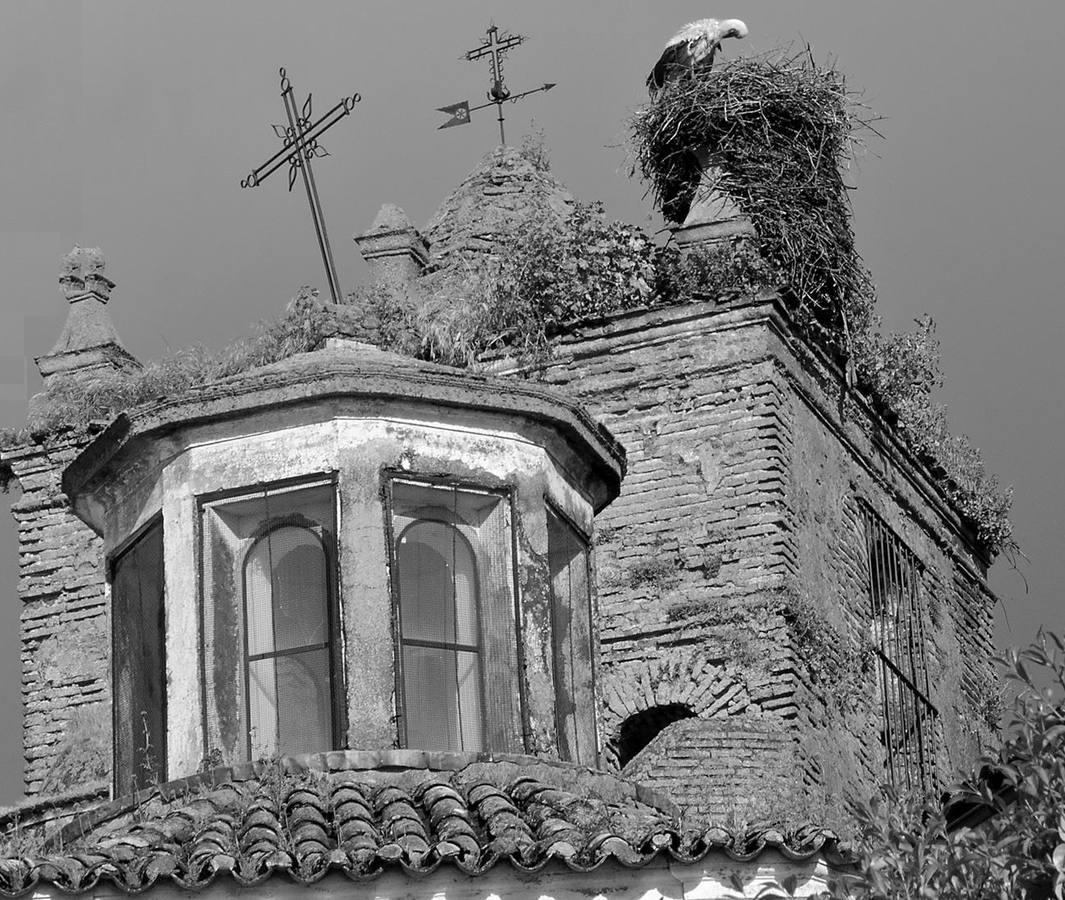 Templo de Santa Ana de Fregenal de la Sierra. 