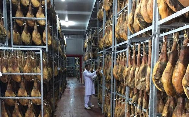 El PSOE de Fregenal se posiciona a favor del nuevo macromatadero de porcino