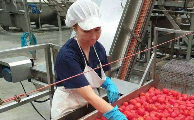 Ayudas para la transformación de productos agrícolas 
