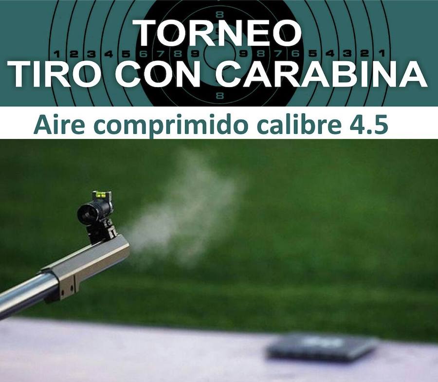 Torneo de tiro con carabina