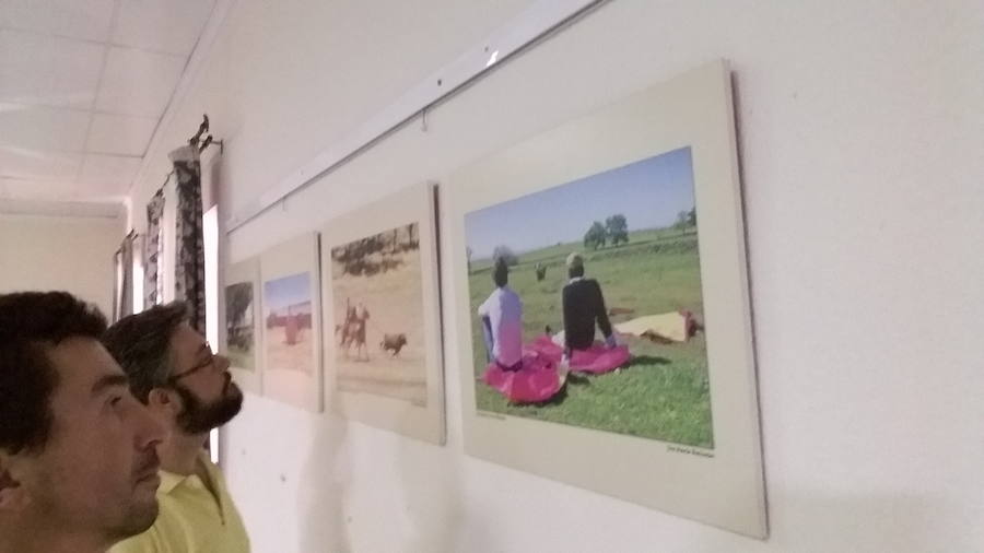Exposición fotográfica Toros y Dehesa Extremeña en Bienvenida