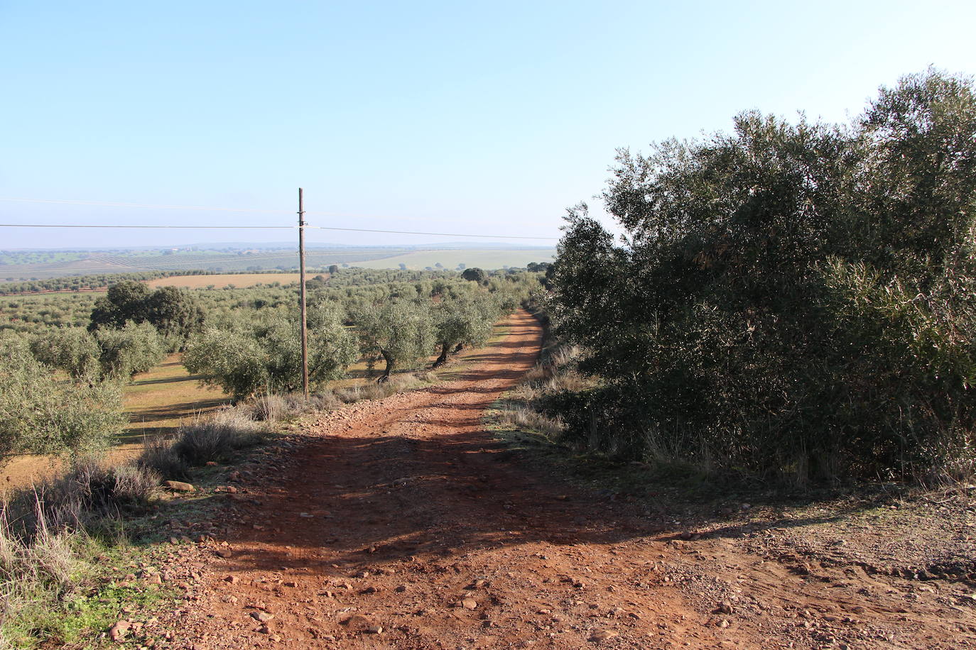 La Junta de Extremadura invierte 317.000 euros en el arreglo de la Vereda de Diego Llanos