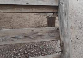 Roenillos al aire y tablas rotas en uno de los elementos del parque El Pilar.