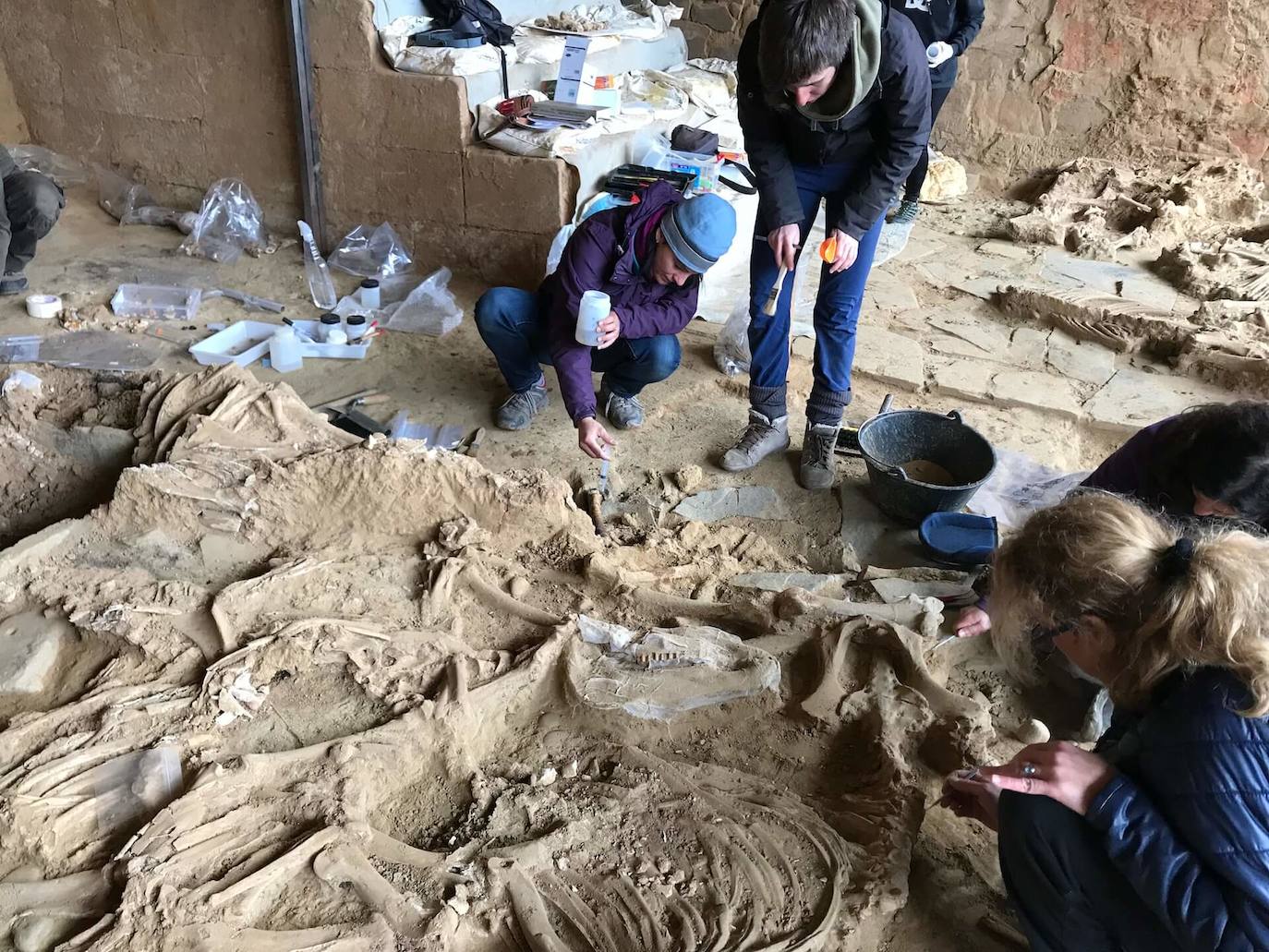 Arqueólogos trabajando con restos de animales aparecidos en el patio de Casas del Turuñuelo.