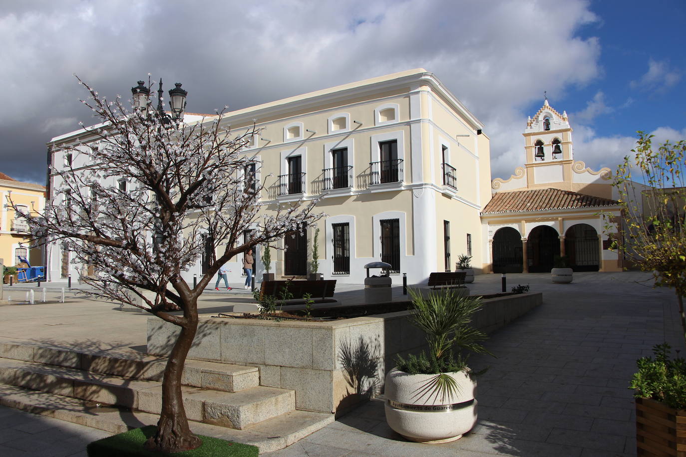 Dos árboles novedosos lucirán en la Plaza de San Gregorio.