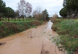 El arroyo Guareña entrando en cantidades grandes de agua al pantano San Roque.