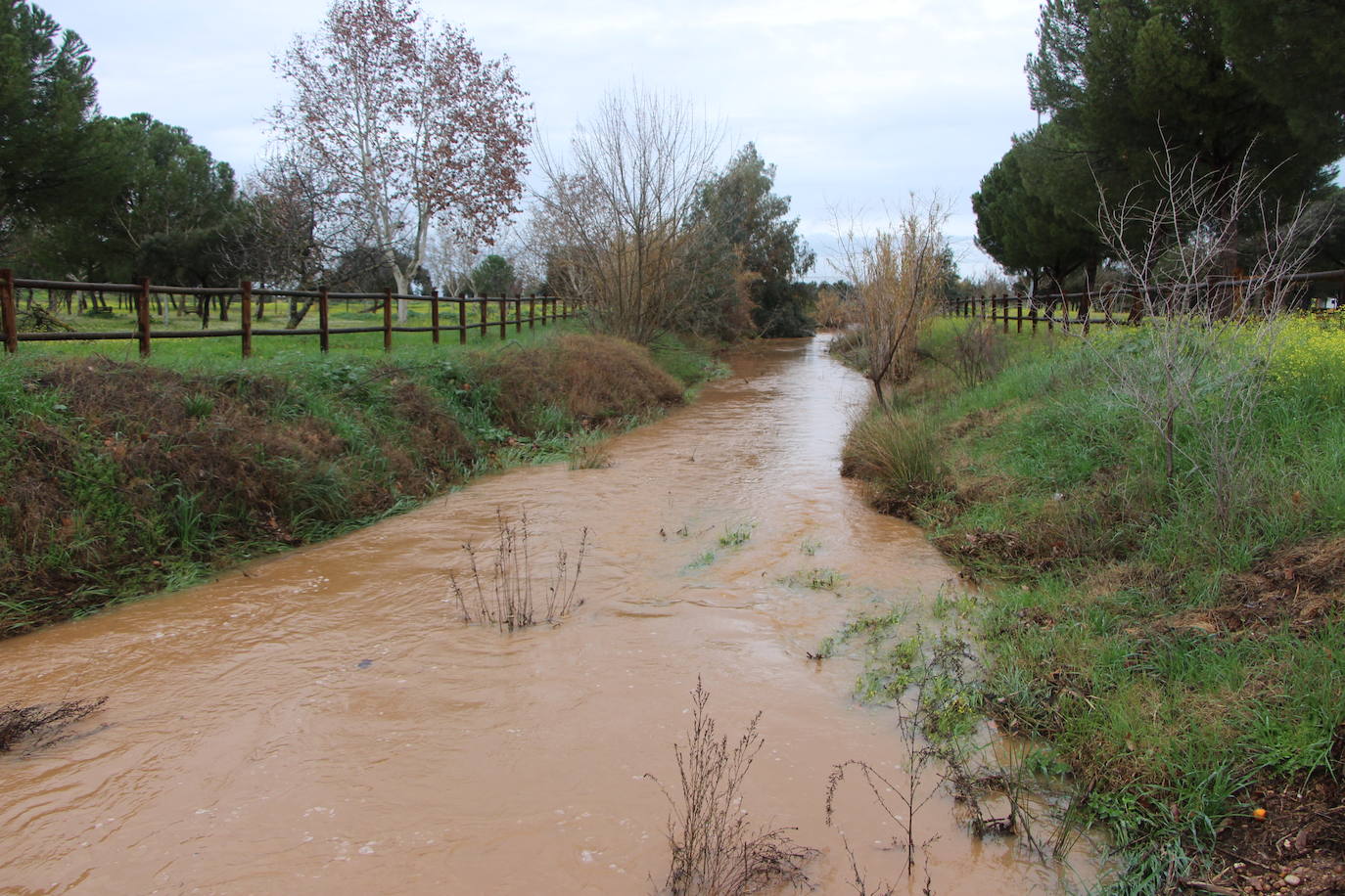 Las borrascas Irene y Juan dejan 83 litros de lluvia generosa