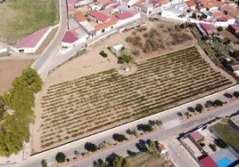 Parcela en Guareña donde irá la construcción del Centro de Convalecencia.