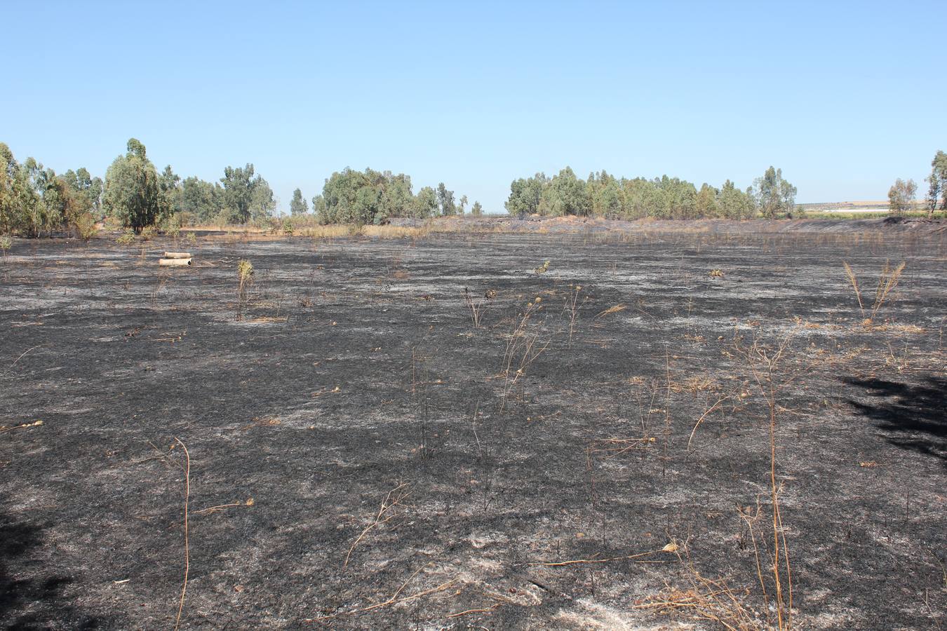 Se calcinan 11 hectáreas de pasto bajo en la zona conocida por dehesa Guareña
