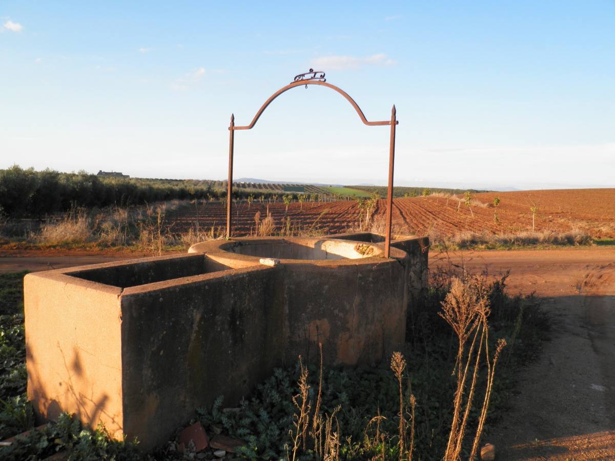 Pozo del camino de La Zarza.