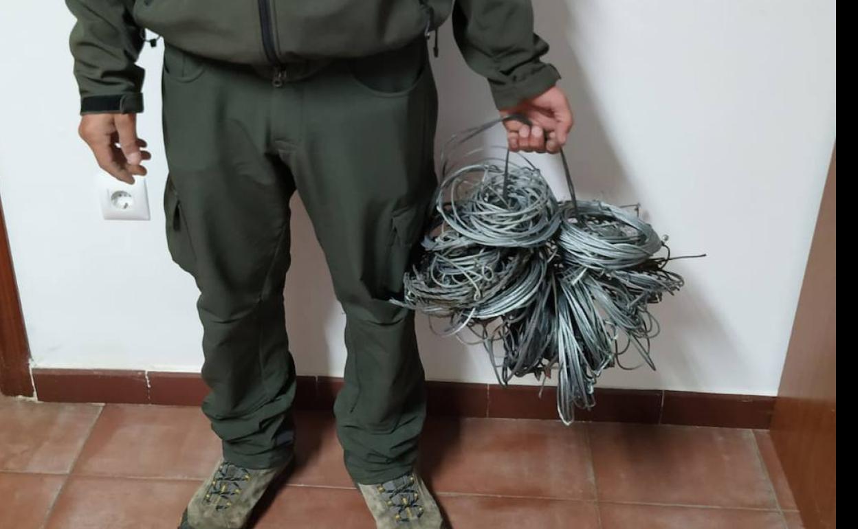 Agentes del Medio Natural decomisan «lazos sin frenos» en las inmediaciones de la Reserva Regional de Caza de Cíjara