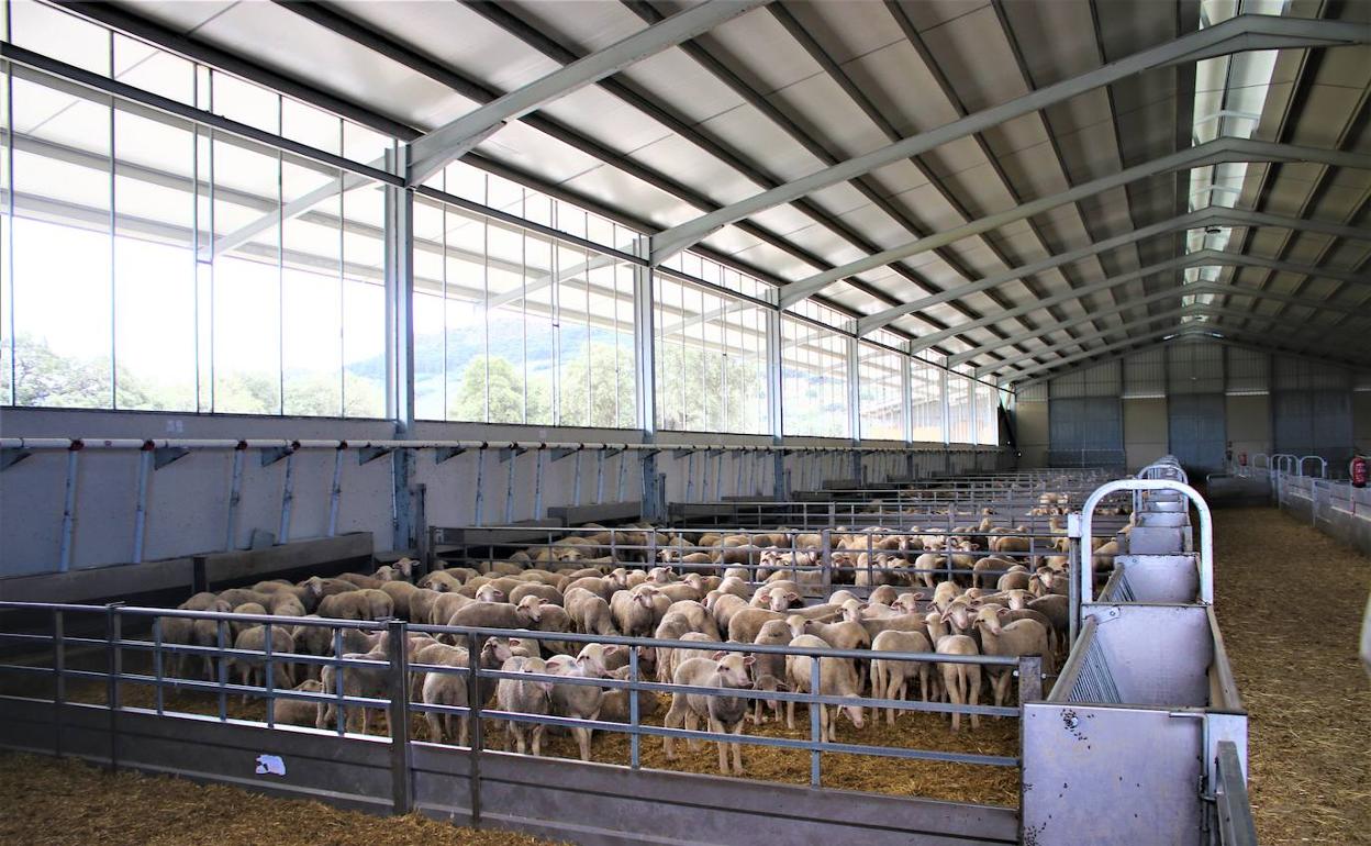 La XI Feria Ganadera y Agroturística de la Siberia un formato distinto cubierto de éxito