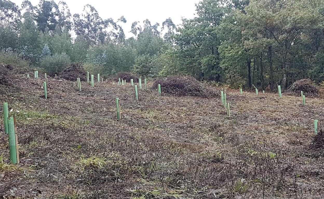 La Diputación de Badajoz ofrece una formación gratuita de «Mantenimiento y mejora del hábitad cinegético-Piscícola»