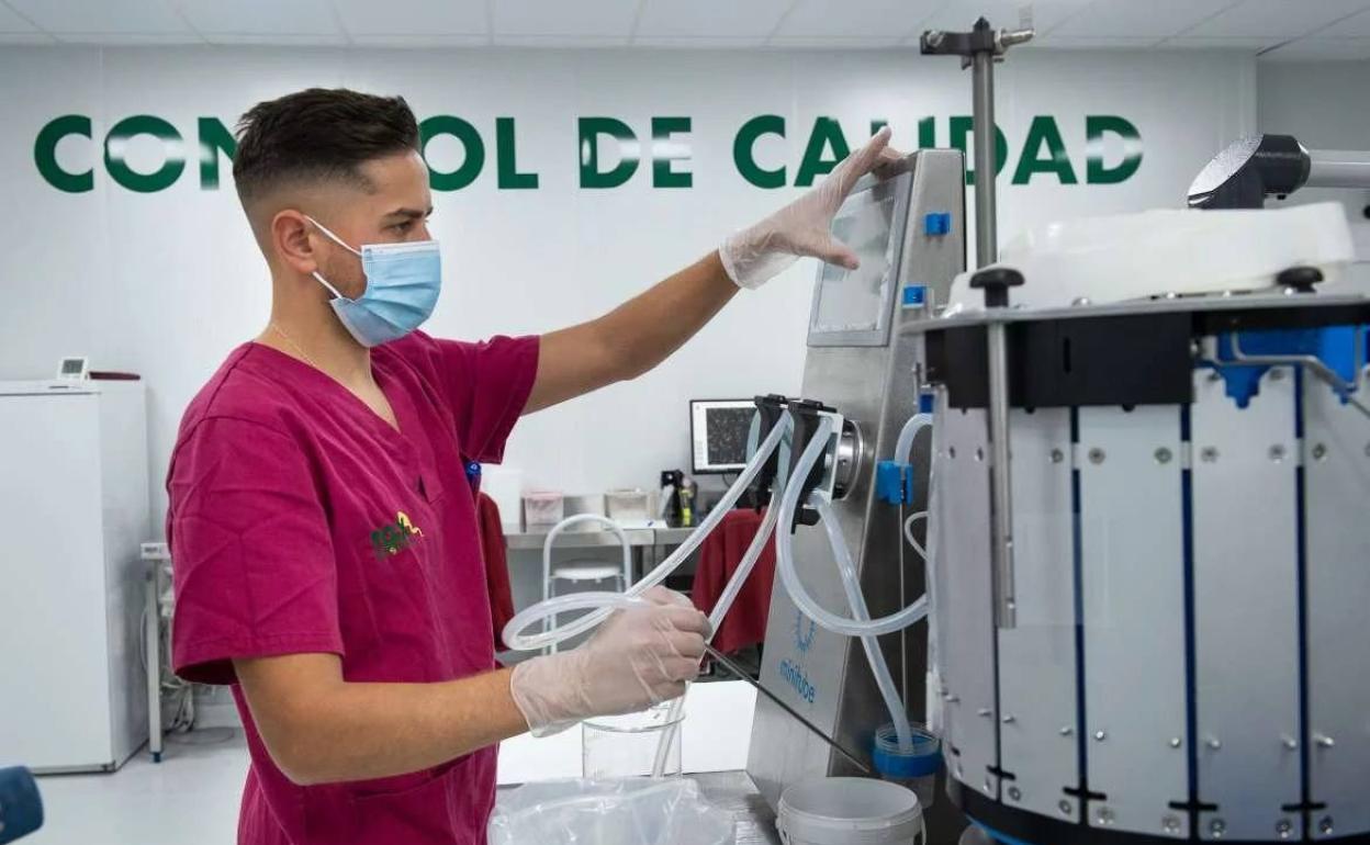 La Junta pone en marcha ayudas y subvenciones a la contratación de trabajadores