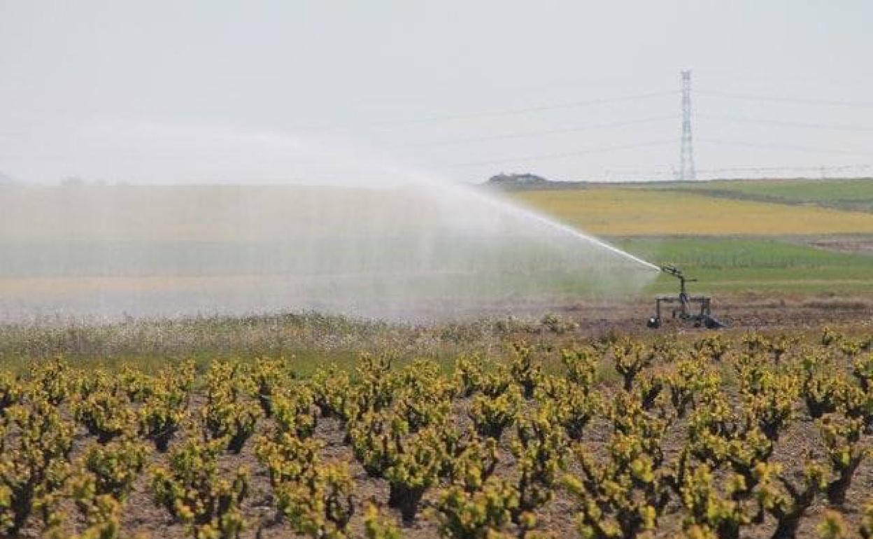 Celebrado el taller sobre buenas prácticas agrícolas en el uso de los recursos hídricos