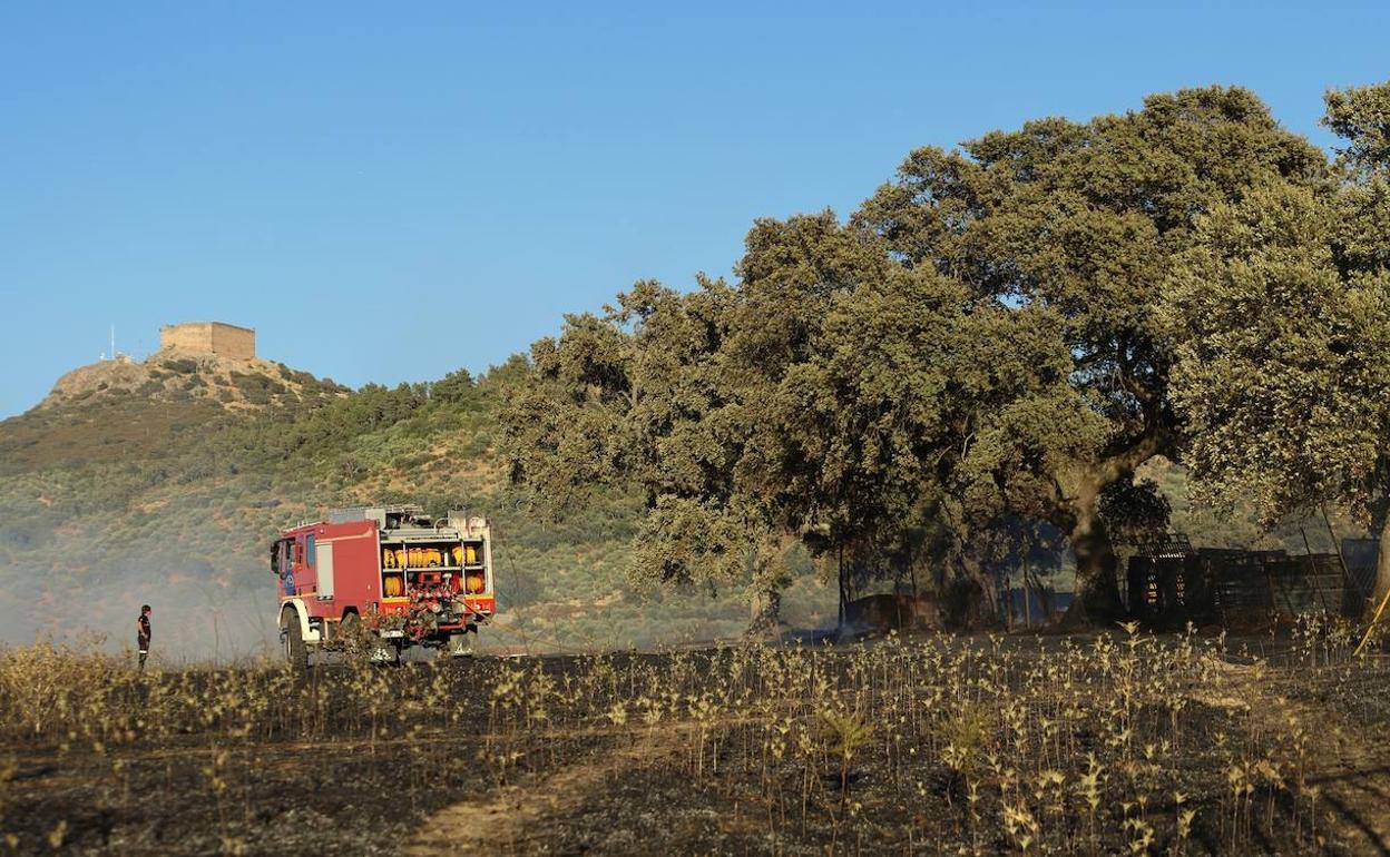 Tres hectáreas se incendiaron en Herrera del Duque, cerca del casco urbano