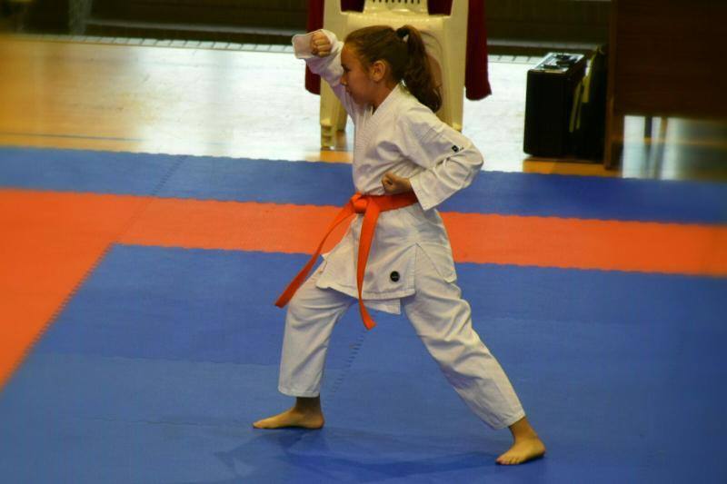 Karatecas de las escuelas municipales deportivas obtienen medalla en el campeonato Judex 2016 y Campeonato Extremadura Promoción Invierno en la región.