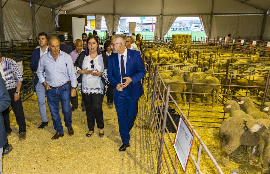 Abierta la Feria Agroganadera de Herrera del Duque, que reúne a 260 cabezas de ganado