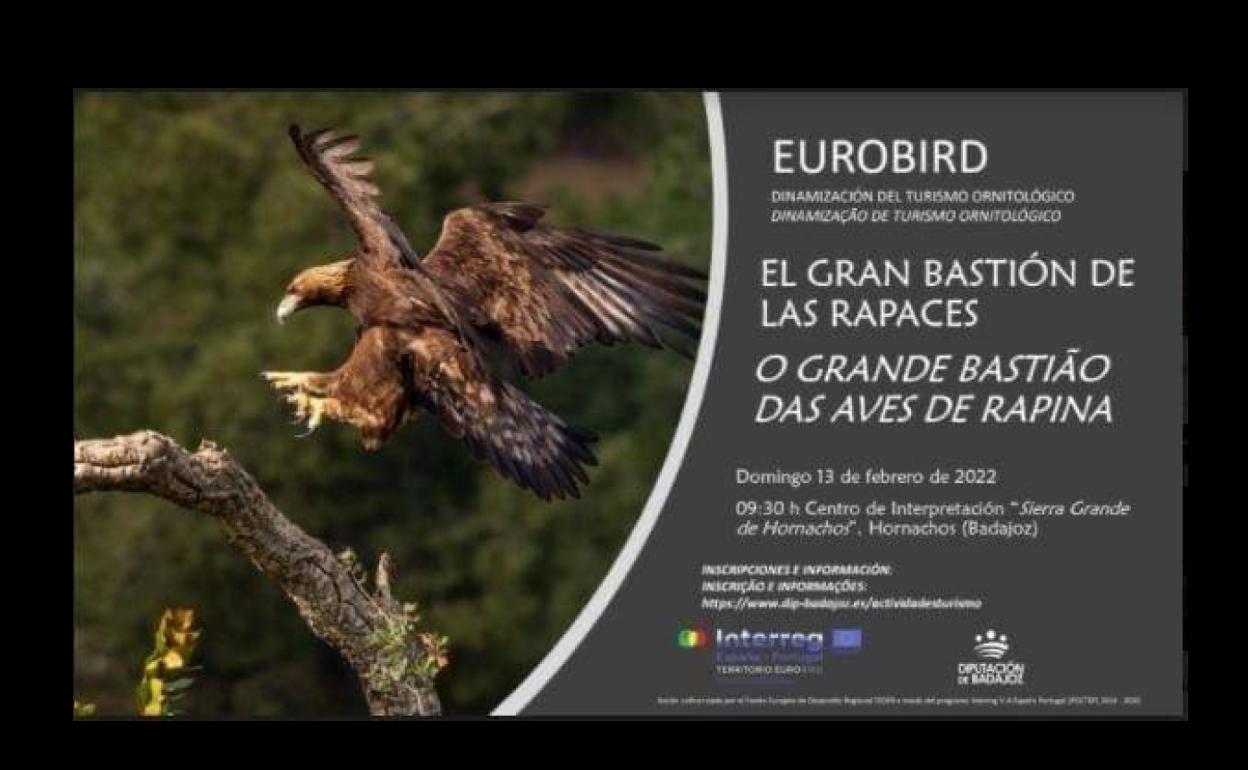 Los amantes de la observación de aves tienen una cita este domingo con el proyecto EUROBIRD