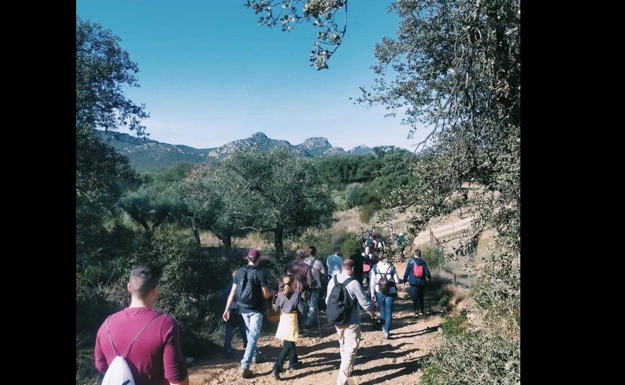 Nuevas actividades de la Sociedad Micoógica «Sierras de Hornachos» para este próximo fin de semana