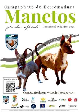Cartel actividad