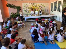Actividad llevada a cabo