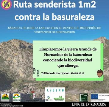 Cartel actividad