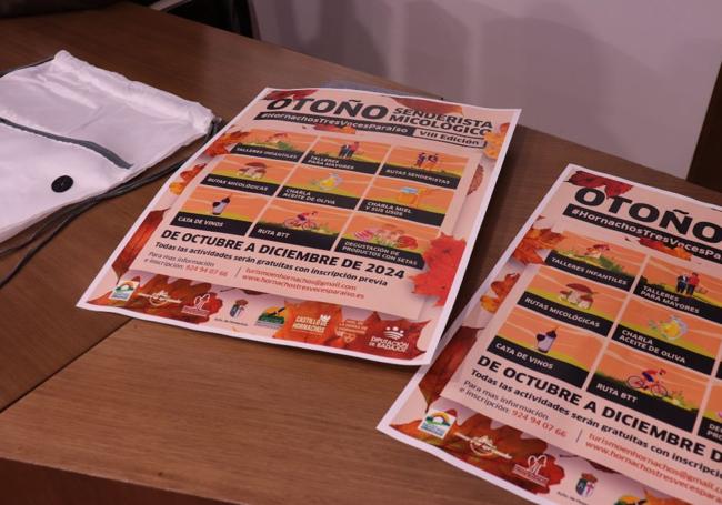 Cartel Actividades