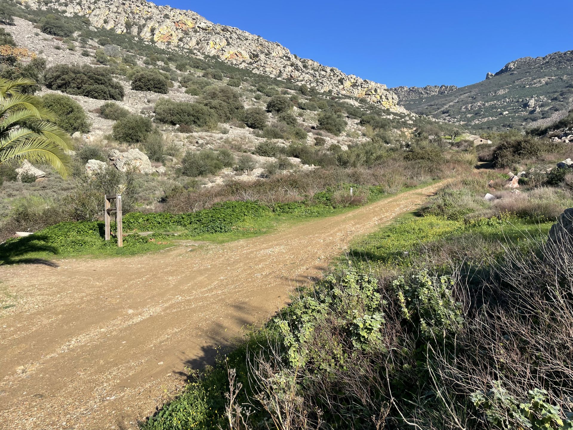 Camino de «Los Corraletes»