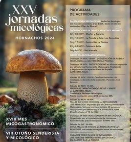 Cartel actividades