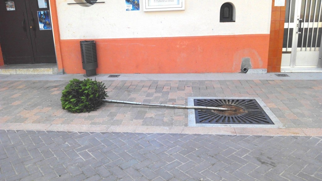 Un coche rompe un árbol de la avenida de Yuste, cuyas obras están a punto de terminar
