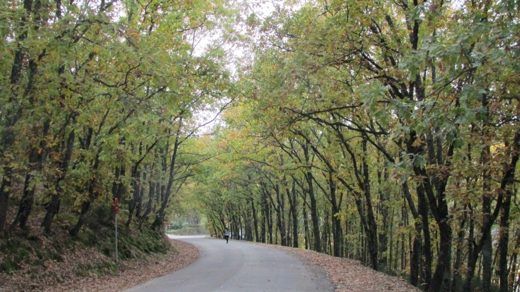 Carretera del Lago.