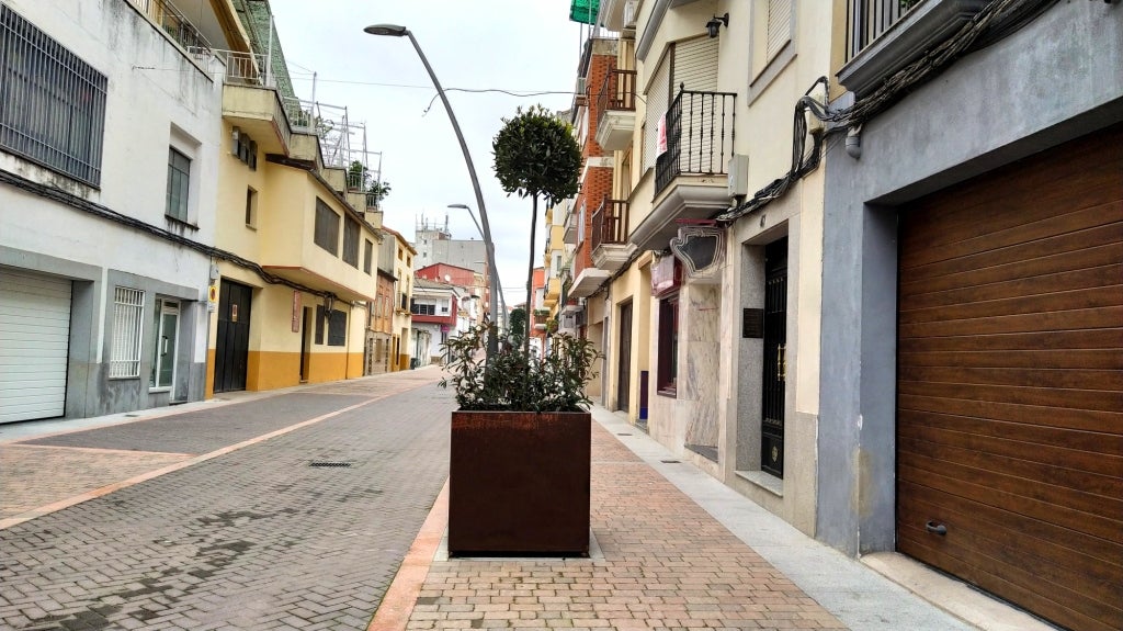 Una de las jardineras y laurel.