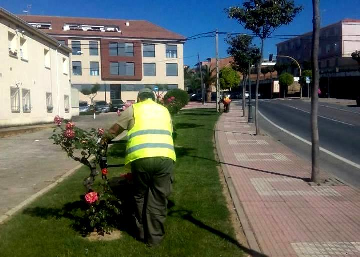 Trabajos de jardinería en Jaraíz.