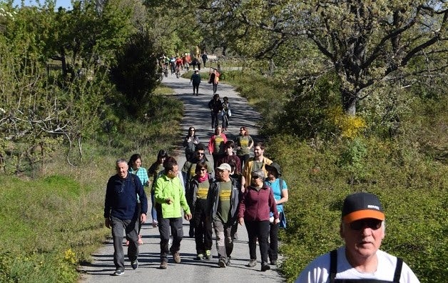 Rusta senderista 'Camino de la Ermita de la Dehesa de 2019. 