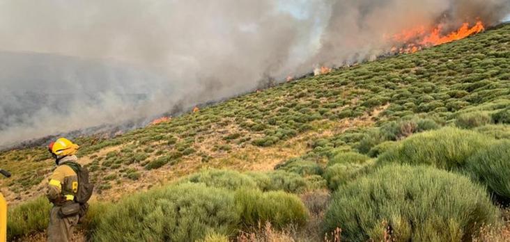 Bombero del Infoex en las labores de extinción del incendio declarado anoche en el Collado de las Yeguas.