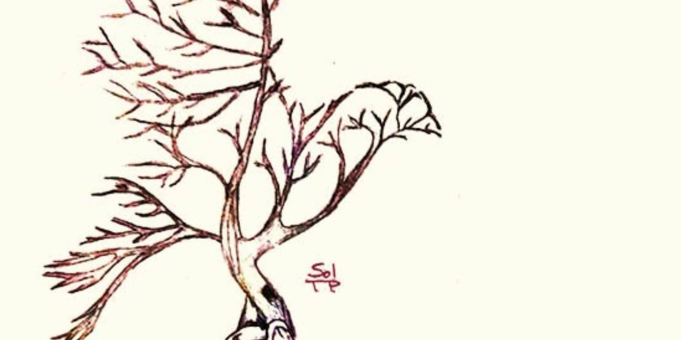 Este viernes se presenta el libro 'Vive', obra de Mari Carmen Azores