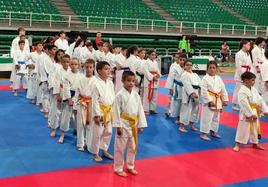 17 medallas para el Club de Karate Jaraíz en la fase final provincial de los Judex