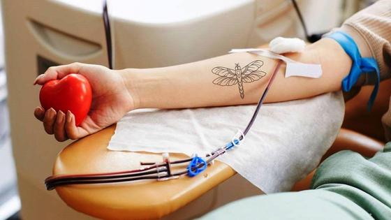 Este viernes, 18 de agosto, extracciones de sangre en Jaraíz